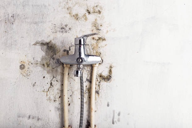 Best Mold Remediation  in Hermiston, OR