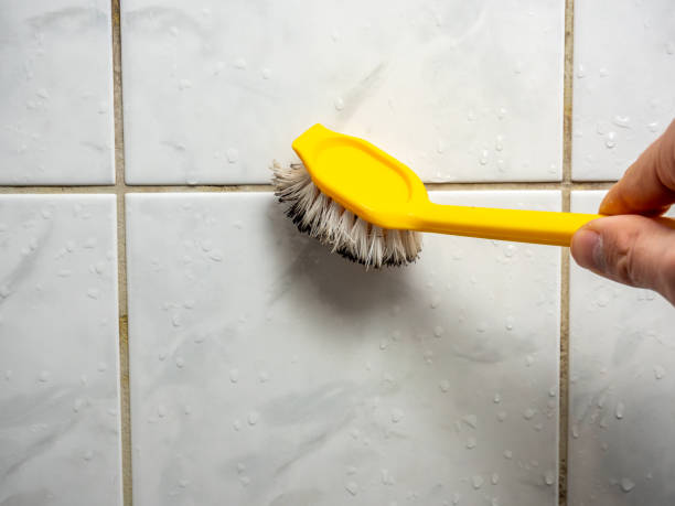 Best Toxic Mold Removal  in Hermiston, OR