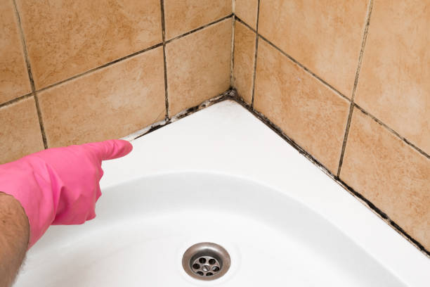 Best Residential Mold Removal  in Hermiston, OR